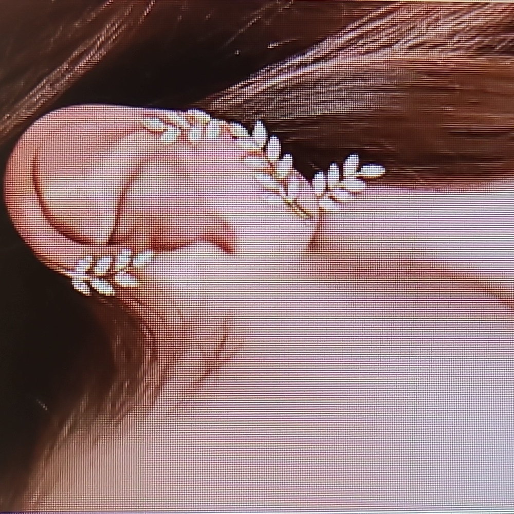 Laurel leaf ear cuff